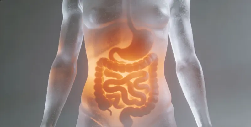 湛江肠癌甲基化检测图片1